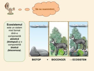 Să ne reamintim!
Ecosistemul
este un sistem
mixt format
dintr-o
componentă
abiotică
(biotopul) şi o
componentă
biotică
(biocenoza).
BIOTOP + BIOCENOZĂ → ECOSISTEM
 