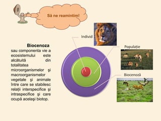 Biocenoza
sau componenta vie a
ecosistemului este
alcătuită din
totalitatea
microorganismelor şi
macroorganismelor
vegetale şi animale
între care se stabilesc
relaţii interspecifice şi
intraspecifice şi care
ocupă acelaşi biotop.
Să ne reamintim!
 