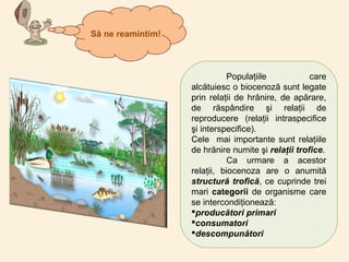 Populaţiile care
alcătuiesc o biocenoză sunt legate
prin relaţii de hrănire, de apărare,
de răspândire şi relaţii de
reproducere (relaţii intraspecifice
şi interspecifice).
Cele mai importante sunt relaţiile
de hrănire numite şi relaţii trofice.
Ca urmare a acestor
relaţii, biocenoza are o anumită
structură trofică, ce cuprinde trei
mari categorii de organisme care
se intercondiţionează:
producători primari
consumatori
descompunători
Să ne reamintim!
 