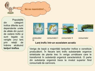 Populaţiile
din categorii
trofice diferite sunt
dependente unele
de altele din punct
de vedere trofic şi
sunt legate ca
verigile unui lanţ
prin relaţii de
hrănire alcătuind
lanţuri trofice. Veriga de bază a majorităţii lanţurilor trofice o constituie
producătorii. În fiecare lanţ trofic substanţele organice
sintetizate de plante trec în veriga următoare care le
transformă în substanţă organică caracteristică. O parte
din substanţa organică trece la nivelul superior fiind
consumată de carnivore.
producător consumator I consumator II consumator
III
Lanţ trofic într-un ecosistem acvatic
Să ne reamintim!
 
