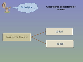 Să învăţăm! Clasificarea ecosistemelor
terestre
 