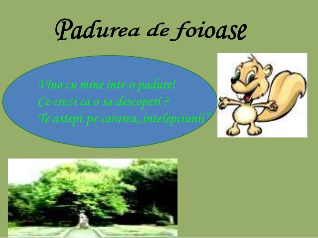 clasificare ecosisteme naturale