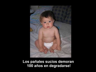 Los pañales sucios demoran  100 años en degradarse! 