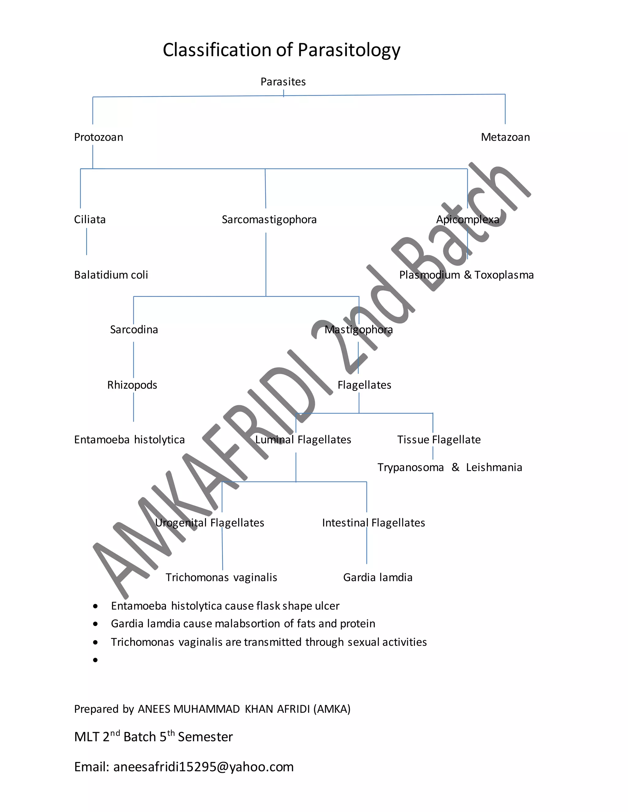 Intestinal Parasites Classification Classification of parasite | DOCX