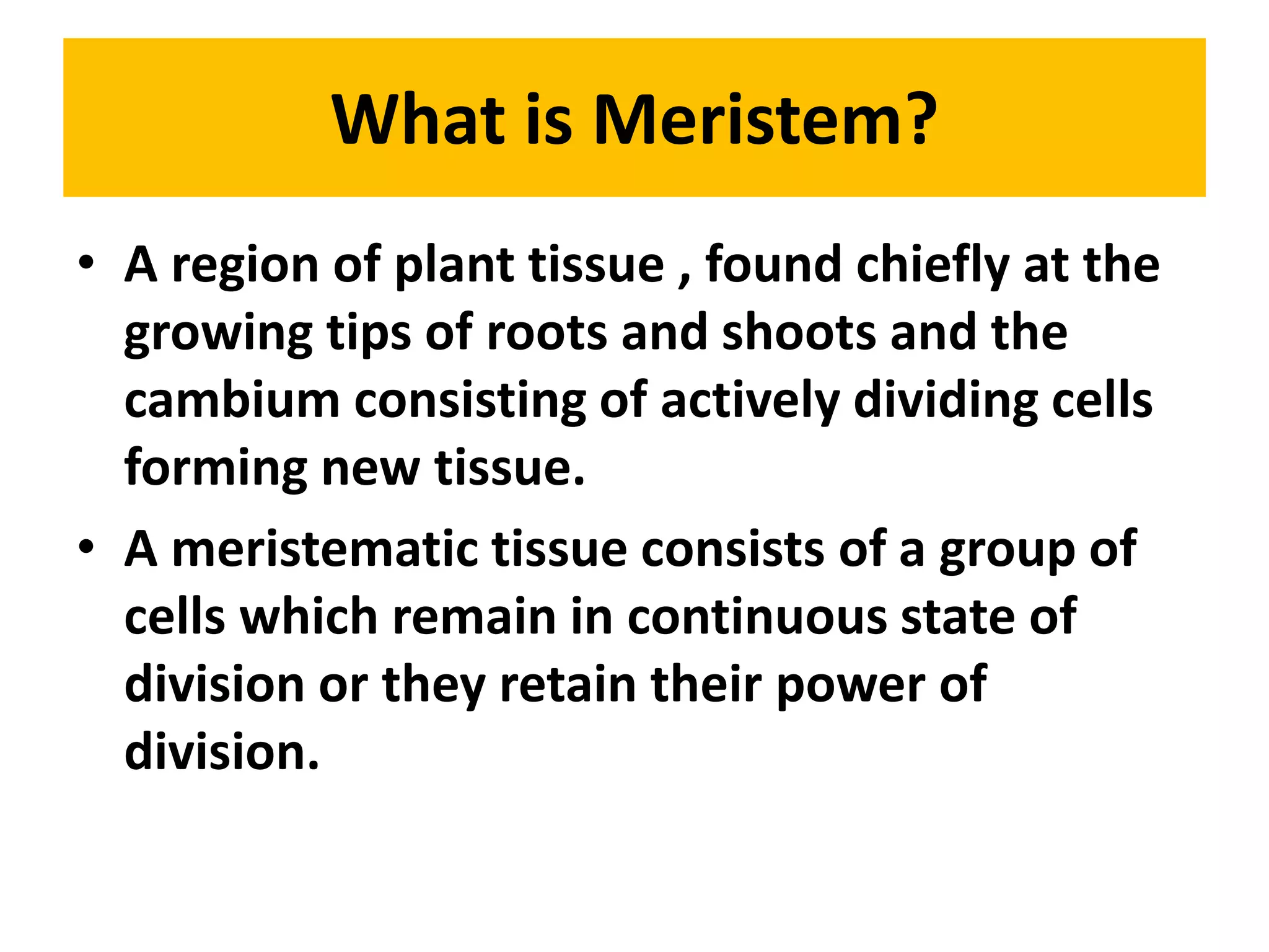 Clasification of meristem .apical meristem | PPTX