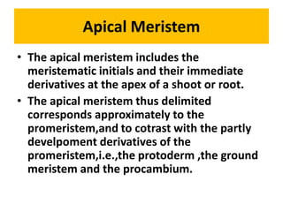 Apical Meristem
• The apical meristem includes the
meristematic initials and their immediate
derivatives at the apex of a shoot or root.
• The apical meristem thus delimited
corresponds approximately to the
promeristem,and to cotrast with the partly
develpoment derivatives of the
promeristem,i.e.,the protoderm ,the ground
meristem and the procambium.
 