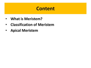 Content
• What is Meristem?
• Classification of Meristem
• Apical Meristem
 