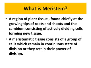 What is Meristem?
• A region of plant tissue , found chiefly at the
growing tips of roots and shoots and the
cambium consisting of actively dividing cells
forming new tissue.
• A meristematic tissue consists of a group of
cells which remain in continuous state of
division or they retain their power of
division.
 