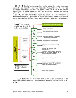Ing. Agr. Miguel A. Scalone Echave - Instituto de Agrimensura 6
⌦ O1 Son horizontes orgánicos en los cuales los restos vegetales
depuestos se encuentran en descomposición. Frecuentemente los residuos
orgánicos vegetales o los residuos posmortales de la fauna, es posible
identificarlos de dónde provienen, pues aún se pueden visualizar sus formas
y tamaños.
⌦ O2 Son horizontes orgánicos dónde la descomposición y
transformación es tal, que ya no se puede reconocer la forma original de la
mayor parte de los materiales o los restos vegetales o animales depositados.
3.2.2. Horizontes minerales. Son los más comunes y abundantes en los
suelos de nuestro territorio. Consideraremos aquí sólo los horizontes A, B,
C y R.
Figura Nº 1.- Esquema
simplificado del perfil de
suelos en profundidad
Horizonte claro de máxima lixiviación.
SOLUM
Horizontesformadosporprocesos
Horizonte más oscuro que el resto de los
A, de composición orgánico-mineral.
O1
O2
A1
A2
A3
B1
B2
B3
C
Horizonte de transición más similar al A
que al B.
Horizonte de transición más
similar al B que al A
Horizonte de máxima iluviación de hierro y/o
arcilla o de máximo desarrollo de una
estructura prismoidal o de bloques.
Horizonte de transición más similar
al B que al C.
Horizonte poco atacado por los procesos
pedogenéticos. Puede o no, ser parecido al
material madre u original del suelo.
Sustrato rocoso consolidadoR
Horizontes
de máxima
actividad
biológica y
lixiviación
Horizontes de
máxima
acumulación
o de
alteración
del material
madre
Restos vegetales aún no
descompuestos.
Restos vegetales parcial o totalmente
descompuestos.
Fuente: Cuaderno práctico
de Edafología. AEA. Kaplán,
A., Rucks, I., Telechea, A.
Mandl, E.
SUPERFICIE DE LA TIERRA
 