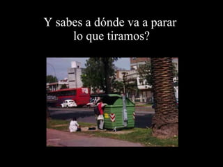 Y sabes a dónde va a parar  lo que tiramos? 