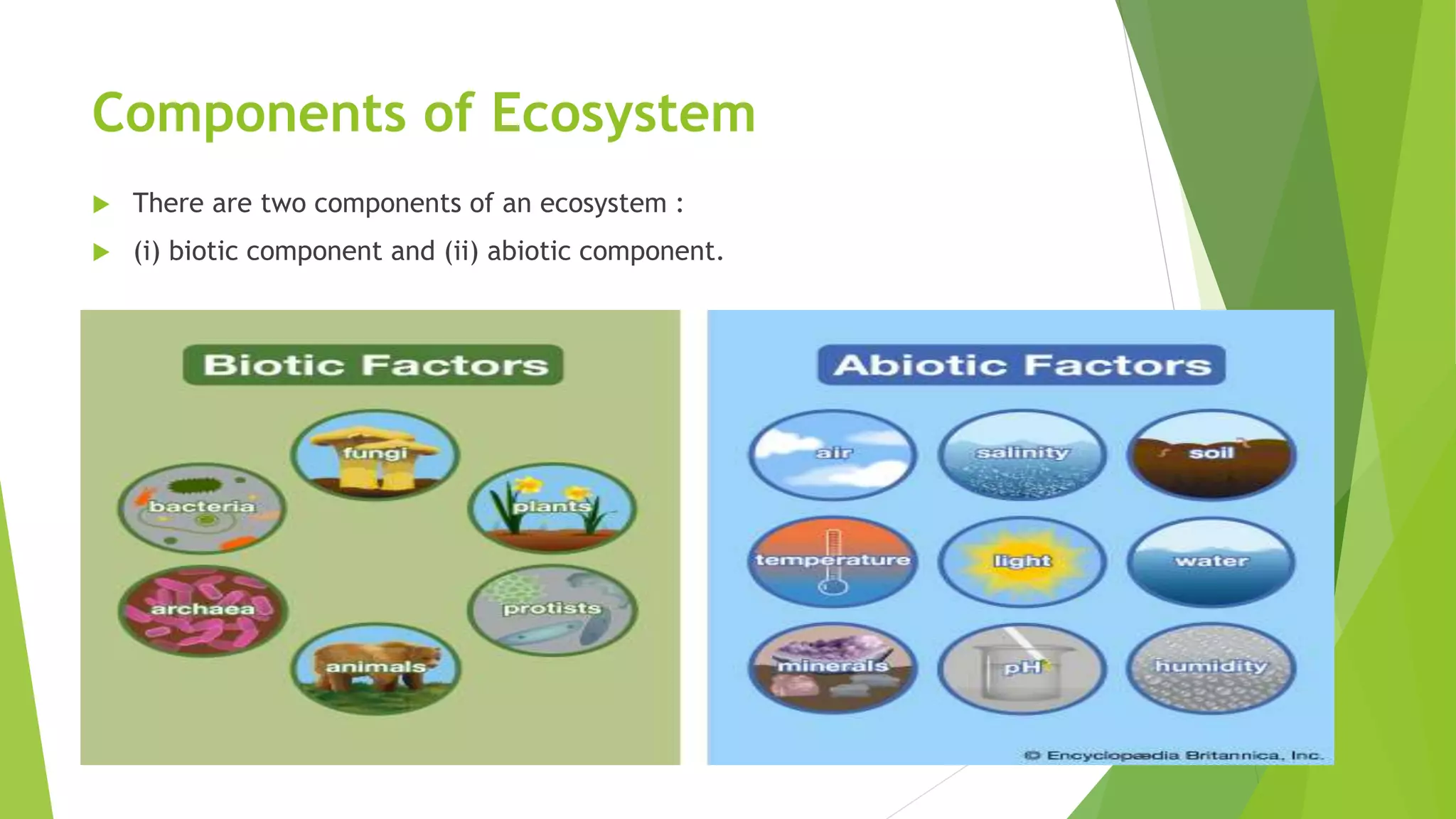 Class 10-chapter-15-our environment | PPTX