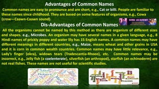 DIVERSITY IN LIVING WORLD - (CLASS XI, CBSE BIOLOGY) | PPTX