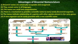 DIVERSITY IN LIVING WORLD - (CLASS XI, CBSE BIOLOGY) | PPTX
