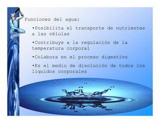 Funciones del agua:
  •Posibilita el transporte de nutrientes
  a las células
  •Contribuye a la regulación de la
  temperatura corporal
  •Colabora en el proceso digestivo
  •Es el medio de disolución de todos los
  líquidos corporales
 
