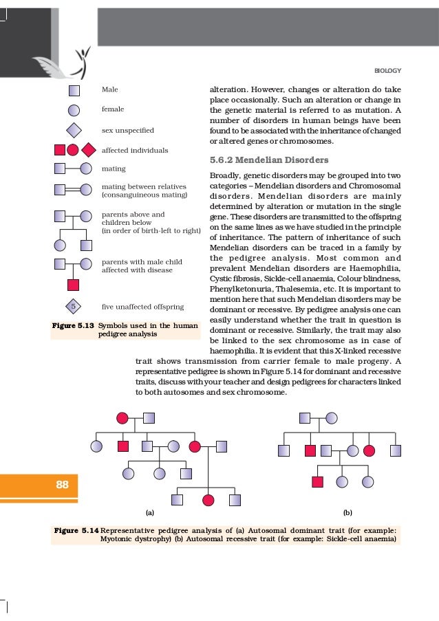 NCERT Books Class 12 Biology Chapter 5 Principles of Inheritance