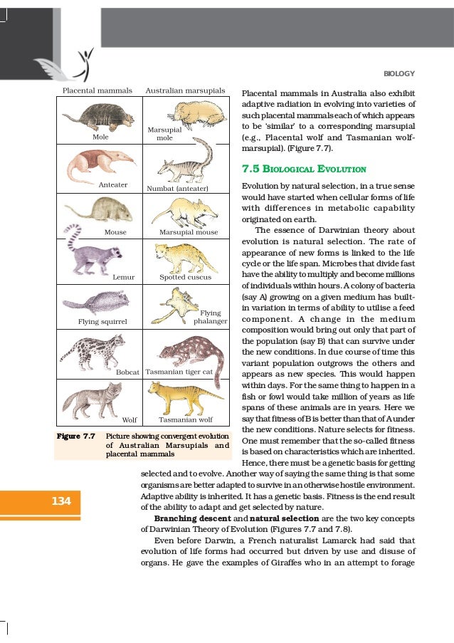 what is evolution class 12