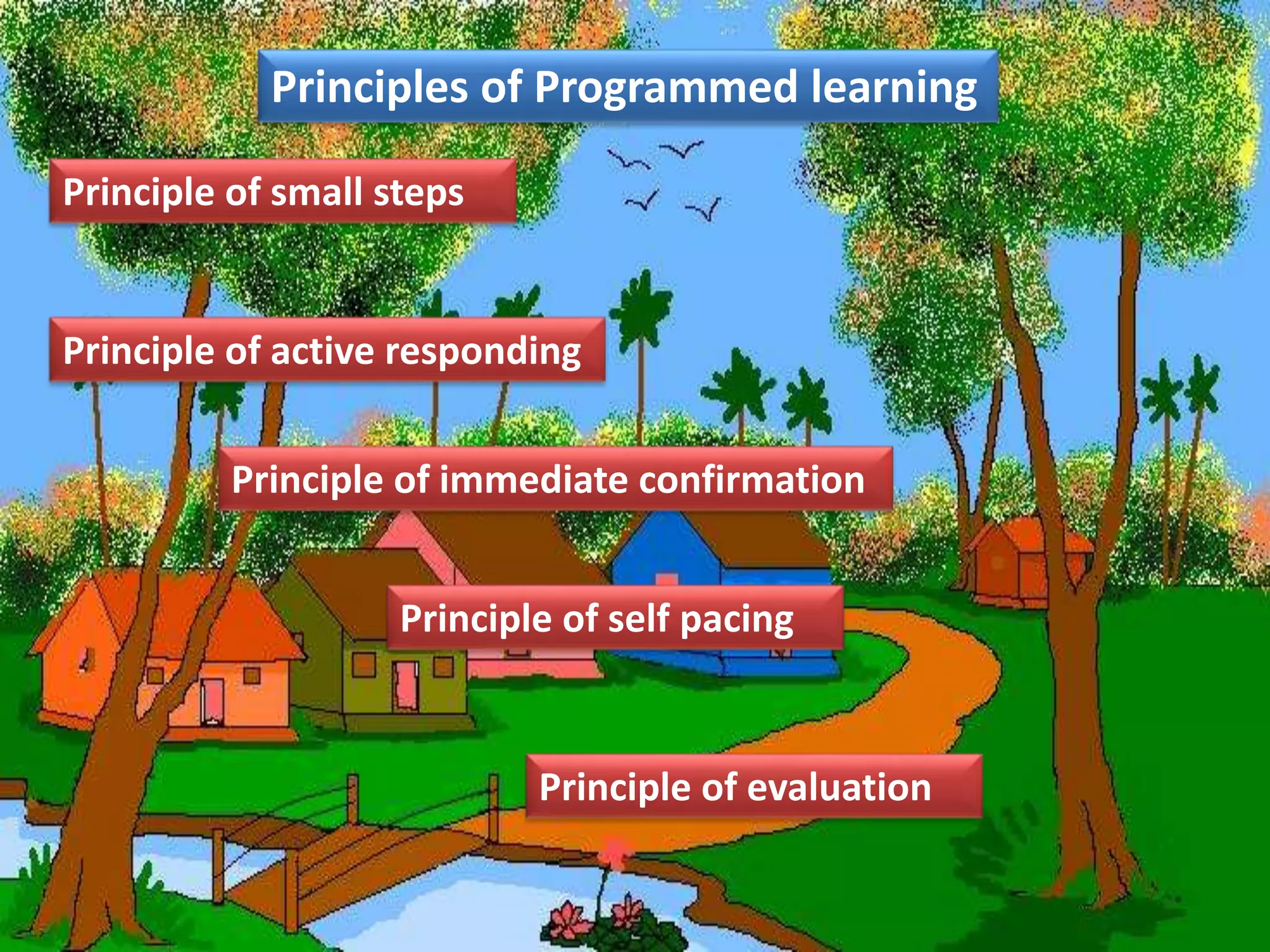 Principles of Programmed learning
Principle of immediate confirmation
Principle of small steps
Principle of active responding
Principle of self pacing
Principle of evaluation
 