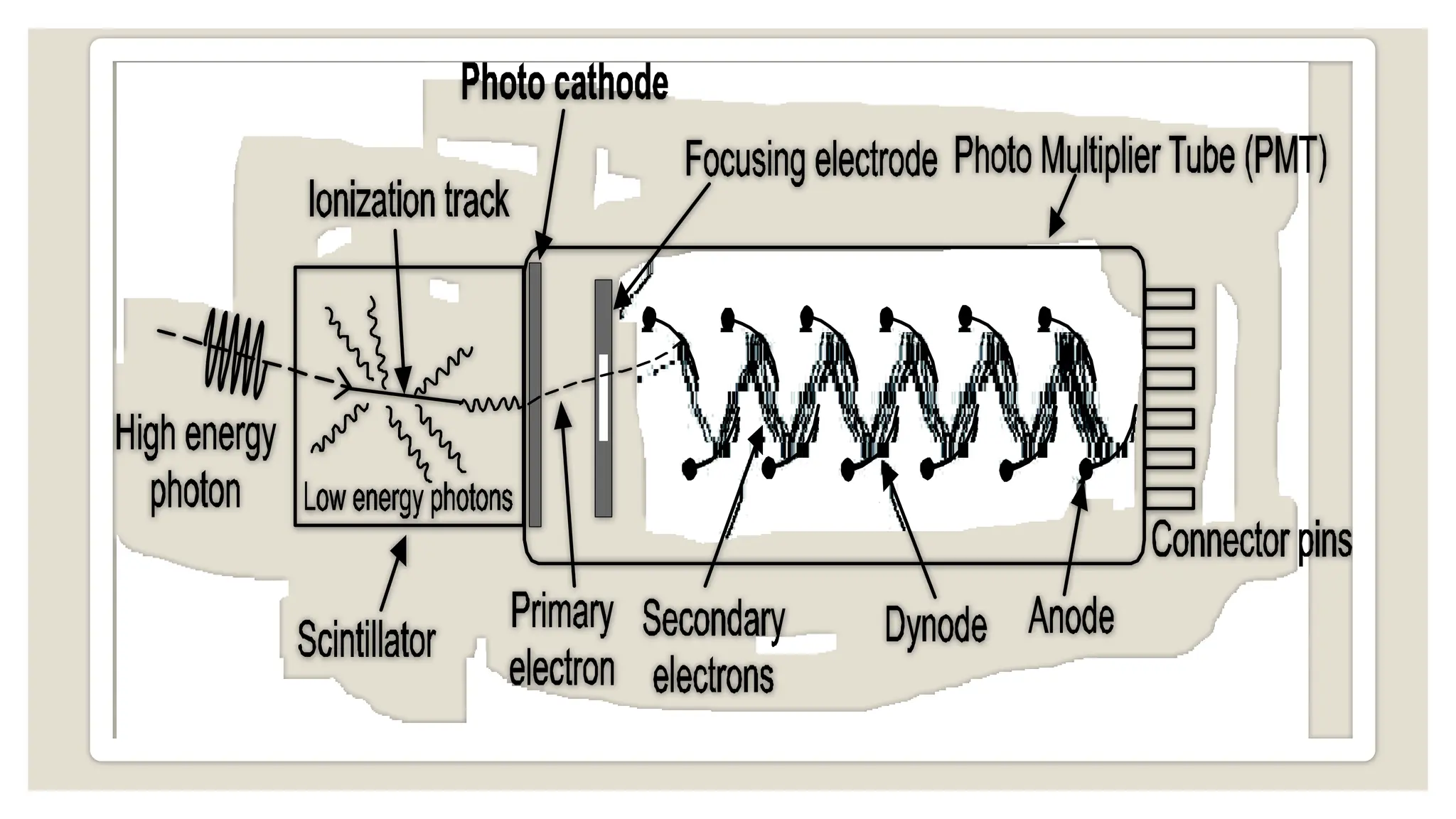 UNIT V: MEASUREMENT OF RADIOACTIVITY,BPHARM