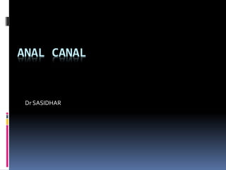 ANAL CANAL
Dr SASIDHAR
 