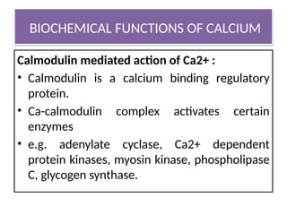 Presentation on minerals like calcium and iron | PPTX