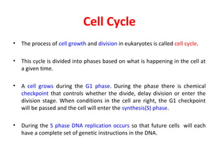 Cell Cycle
•

The process of cell growth and division in eukaryotes is called cell cycle.

•

This cycle is divided into phases based on what is happening in the cell at
a given time.

•

A cell grows during the G1 phase. During the phase there is chemical
checkpoint that controls whether the divide, delay division or enter the
division stage. When conditions in the cell are right, the G1 checkpoint
will be passed and the cell will enter the synthesis(S) phase.

•

During the S phase DNA replication occurs so that future cells will each
have a complete set of genetic instructions in the DNA.

 