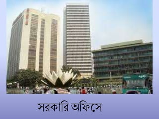 সরকাচর অচফলস
 