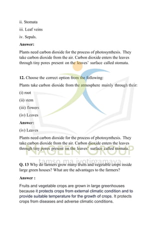 ii. Stomata
iii. Leaf veins
iv. Sepals.
Answer:
Plants need carbon dioxide for the process of photosynthesis. They
take carbon dioxide from the air. Carbon dioxide enters the leaves
through tiny pores present on the leaves’ surface called stomata.
12. Choose the correct option from the following:
Plants take carbon dioxide from the atmosphere mainly through their:
(i) root
(ii) stem
(iii) flowers
(iv) Leaves
Answer:
(iv) Leaves
Plants need carbon dioxide for the process of photosynthesis. They
take carbon dioxide from the air. Carbon dioxide enters the leaves
through tiny pores present on the leaves’ surface called stomata.
Q. 13 Why do farmers grow many fruits and vegetable crops inside
large green houses? What are the advantages to the farmers?
Answer :
Fruits and vegetable crops are grown in large greenhouses
because it protects crops from external climatic condition and to
provide suitable temperature for the growth of crops. It protects
crops from diseases and adverse climatic conditions.
 