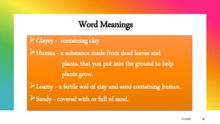 Word Meanings
Clayey - containing clay
Humus - a substance made from dead leaves and
plants, that you put into the ground to help
plants grow.
Loamy - a fertile soil of clay and sand containing humus.
Sandy - covered with or full of sand.
3/1/20XX 15
 