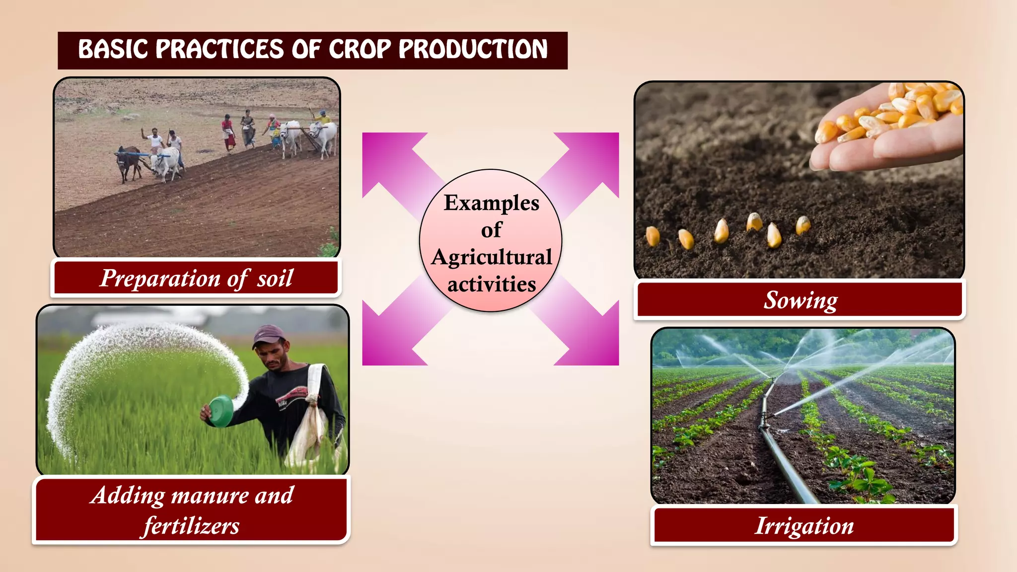 Class-8-Chapter-01-Science-Chemistry_Crop_Production_And_Management.pdf