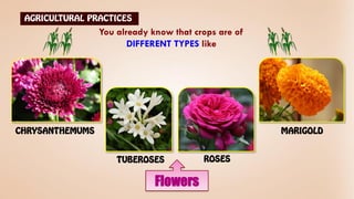 Flowers
You already know that crops are of
DIFFERENT TYPES like
 
