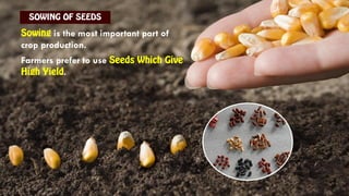 is the most important part of
crop production.
Farmers prefer to use
.
 