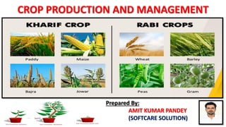 Prepared By:
AMIT KUMAR PANDEY
(SOFTCARE SOLUTION)
CROP PRODUCTION AND MANAGEMENT
 