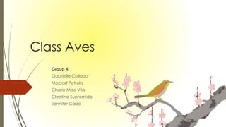 Class Aves
Group 4:
Gabrielle Collado
Mozzart Petrola
Charie Mae Vila
Christine Supremido
Jennifer Calzo
 