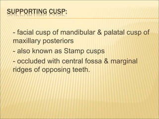 SUPPORTING CUSP:
- facial cusp of mandibular & palatal cusp of
maxillary posteriors
- also known as Stamp cusps
- occluded with central fossa & marginal
ridges of opposing teeth.
 