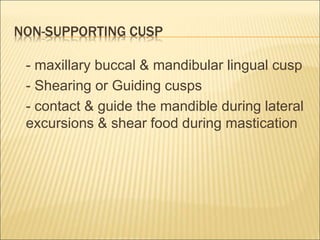 NON-SUPPORTING CUSP
- maxillary buccal & mandibular lingual cusp
- Shearing or Guiding cusps
- contact & guide the mandible during lateral
excursions & shear food during mastication
 