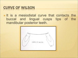 CURVE OF WILSON
 It is a mesiodistal curve that contacts the
buccal and lingual cusps tips of the
mandibular posterior teeth.
 