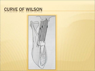CURVE OF WILSON
 
