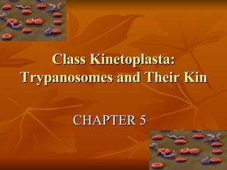 Class Kinetoplasta: Trypanosomes and Their Kin CHAPTER 5 