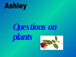 Questions on plants Ashley 