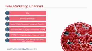 Free Marketing Channels
SURVEYS| LANDING PAGES | CHANNELS | NEXT STEPS
Blog	
  
Website	
  (Prototype)	
  
Social	
  Media:	
  Facebook,	
  Instagram,	
  Youtube	
  
CommmuniAes	
  (Start-­‐up	
  communiAes	
  on	
  FB)	
  	
  
PR	
  (Online	
  blogs	
  about	
  start-­‐ups	
  and	
  food)	
  
Email	
  markeAng	
  (aGer	
  landing	
  page	
  data	
  
base	
  collecAon)	
  
 