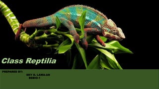 Class Reptilia
PREPARED BY:
SKY O. LAWA-AN
BSBIO-1
 