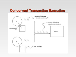 Concurrent Transaction Execution
Concurrent Transaction Execution
 