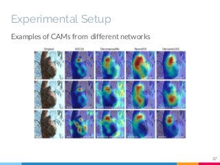 Experimental Setup
Examples of CAMs from different networks
37
 