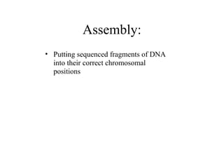 sequencing of genome | PPT