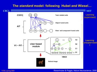 The standard model: following Hubel and Wiesel…
  CBCL                                                                    MIT
                                                                          Learning
                                                                        (supervised)




                                                                         Learning
                                                                      (unsupervised
                                                                            )




9.520, spring 2003                     Riesenhuber & Poggio, Nature Neuroscience, 2000
 