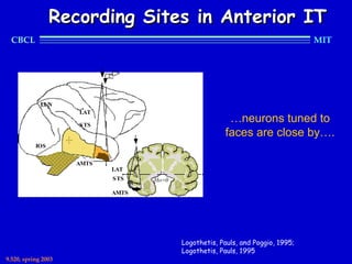 Recording Sites in Anterior IT
  CBCL                                                                           MIT




             LUN
                     LAT

                     STS
                                                        …neurons tuned to
                                                       faces are close by….
           IOS

                     AMTS
                            LAT
                            STS    Ho=0

                            AMTS




                                          Logothetis, Pauls, and Poggio, 1995;
                                          Logothetis, Pauls, 1995
9.520, spring 2003
 