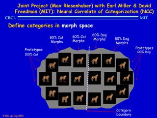 Joint Project (Max Riesenhuber) with Earl Miller & David
          Freedman (MIT): Neural Correlate of Categorization (NCC)
  CBCL                                                                       MIT

    Define categories in morph space

                                            60% Cat   60% Dog
                                  80% Cat             Morphs    80% Dog
                                  Morphs    Morphs
                                                                Morphs
                     Prototypes                                            Prototypes
                                                                           100% Dog
                     100% Cat




                                                                Category
9.520, spring 2003                                              boundary
 