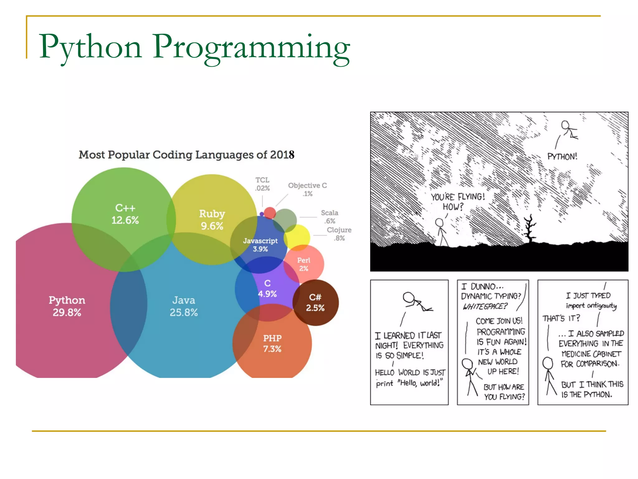 Python Programming
 