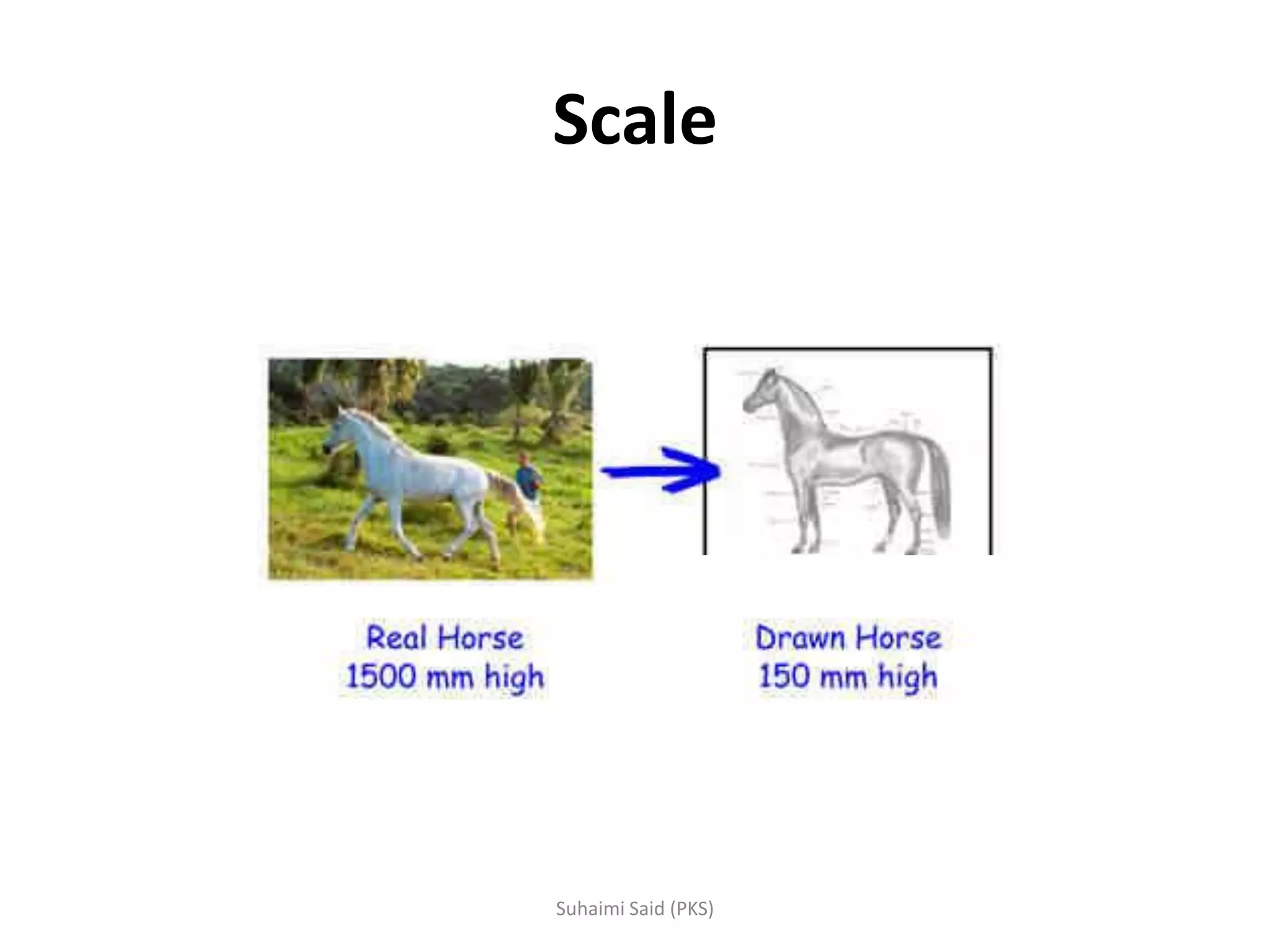 Scale
 