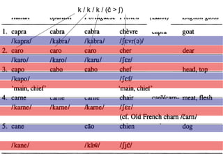 k / k / k / (č > ʃ   )  